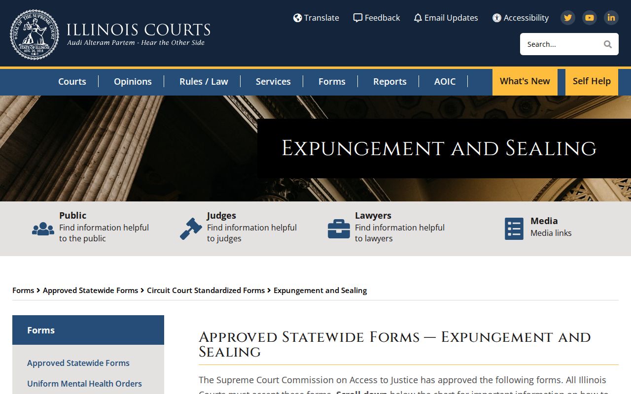 DeWitt County criminal history expungement and sealing forms